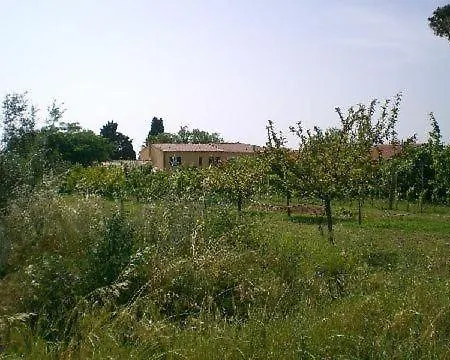 Apartment Schoene Wohnung Mit Garten In Cecina *